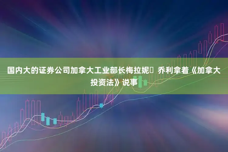 国内大的证券公司加拿大工业部长梅拉妮・乔利拿着《加拿大投资法》说事